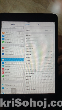 IPad mini 2.